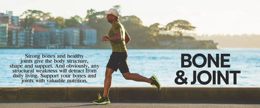Natural Bone & Joint Supplements